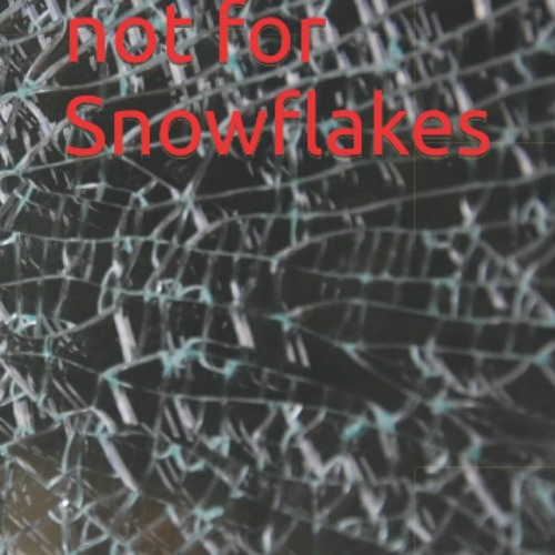 Download❤️[PDF]⚡️ Warning not for Snowflakes
