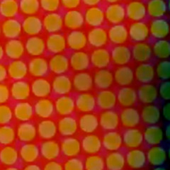 09 Oct - Echoing