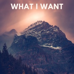 What I Want