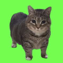 OIIAOIIA T3RROR KATZE- KeTi K