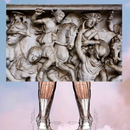Collection of works by skared