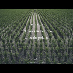 Ta-no-Kami (naviarhaiku 599)