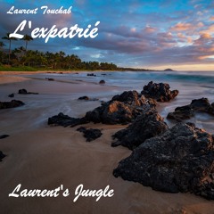 Laurent's Jungle