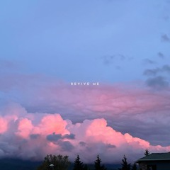 revive me (prod. mcx)