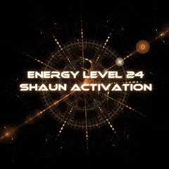 Energy Level 24