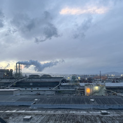 Washington(curtains recyclebin tycarrier)