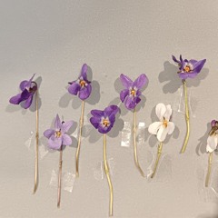 [Cover of] Glory Box - Portishead