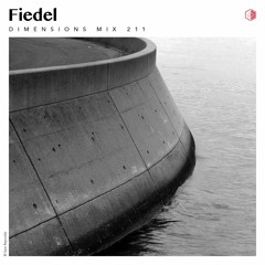 DIM211 - Fiedel