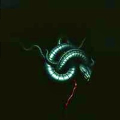 #1 Rule (Black Metal)