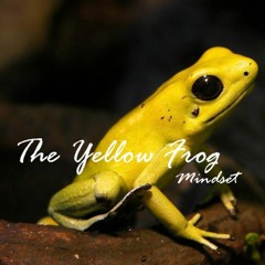 The Yellow Frog