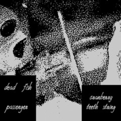 dead fish passenger - cranberry teeth string