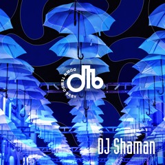 DJ Shaman / downtempo, baby! / #29