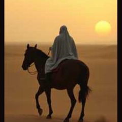 desert outlaw v2