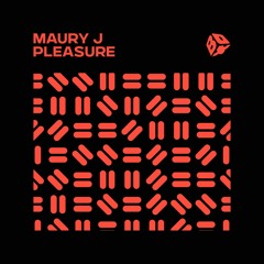 Maury J - Pleasure