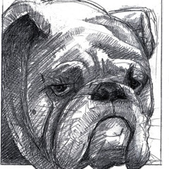 Forever a little bit Blue