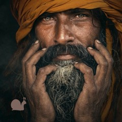 Ash on the Wind - Hans vom Schneggeloch