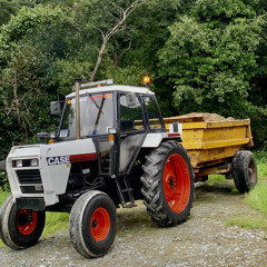 silhouettes avicii remix