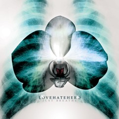 Love Hate Hero – White Lies White Lies - Album by Lovehatehero | Spotify