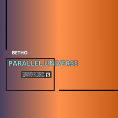 Parallel Universe