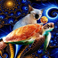 Alugalug Cat X The Kiffness (Soulful Singing Cat Live Looping Remix).mp3
