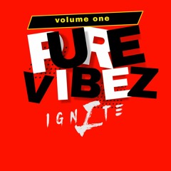 Pure VibEz Vol. 1