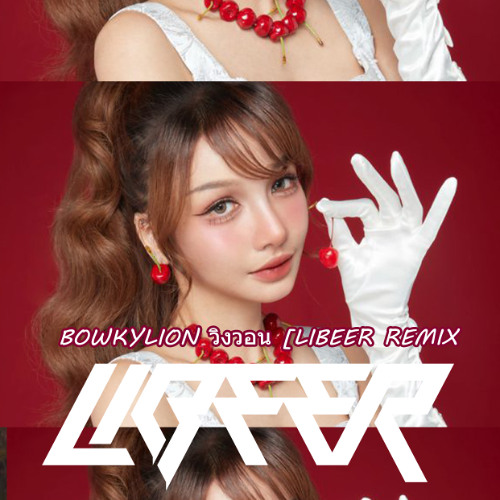 BOWKYLION วิงวอน [LIBEER REMIX