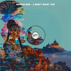 Meskalino - I Don't Want You (Original Mix) [YHV RECORDS]