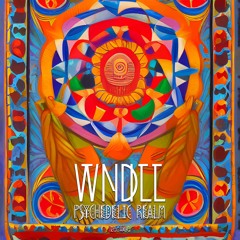 Premiere: WNDLL - Psychedelic Realm [TREG011]