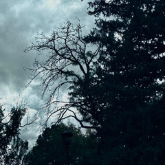 look towards the sky