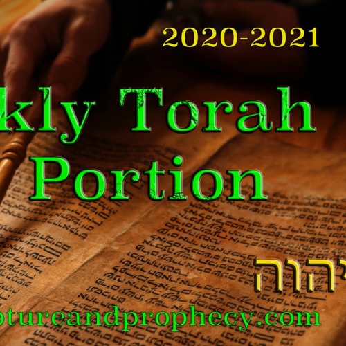 Stream Torah Portion Week 9 Vayeshev He Settled Genesis 37 40 stream-torah-portion-week-9-vayeshev-he-settled-genesis-37-40
