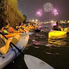 Review Special Price Navy Pier Fireworks Chicago Kayak Tour