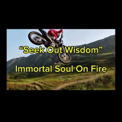 Seek Out Wisdom