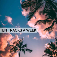 TEN TRACKS A WEEK VOL 12 : Paul Shunt --- Melodic Techno ---