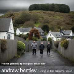 Andrew Bentley - Going to the Friend's House (Trash Panda QC remix)
