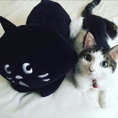 music isnt passion nor expression