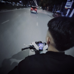 Cánh Hồng Phai -  Filler Remix