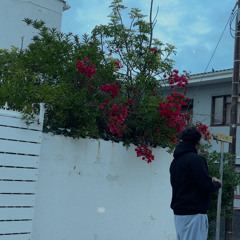 peace of mind