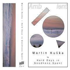 PREMIERE⚡Martin Kuška - Stigma is a Particular Circumstance [梅レコード]