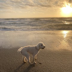 "Sweet Time" - Raveena (cover)