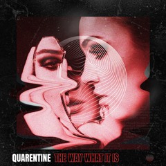 Luzam - Quarentine The Way What It Is (Original Mix)  Free Download