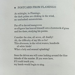 Mary Oliver - Postcard From Flamingo.m4a