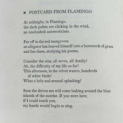 Mary Oliver - Postcard From Flamingo.m4a