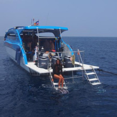 Explore the Wonders of the Similan Islands: Diving & Snorkeling Adventures