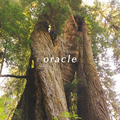 Oracle