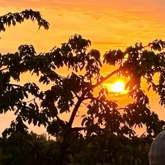 Sunset Session @ Domäne Sven Helwig 9.7.23..