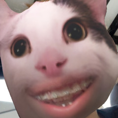 Beautiful Mayhem-Deathbyromy (My remix).wav