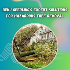 Benj Geerling's Expert Solutions For Hazardous Tree Removal