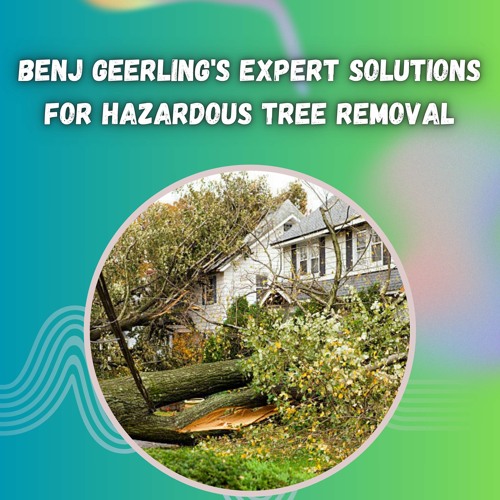 Benj Geerling's Expert Solutions For Hazardous Tree Removal