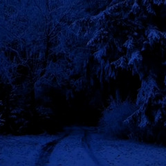 space-stations in 8d