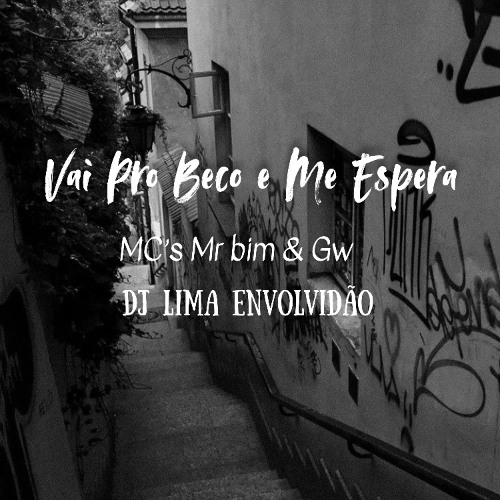 VAI PRO BECO E ME ESPERA - MC's MR BIM & GW = DJ LIMA ENVOLVIDÃO